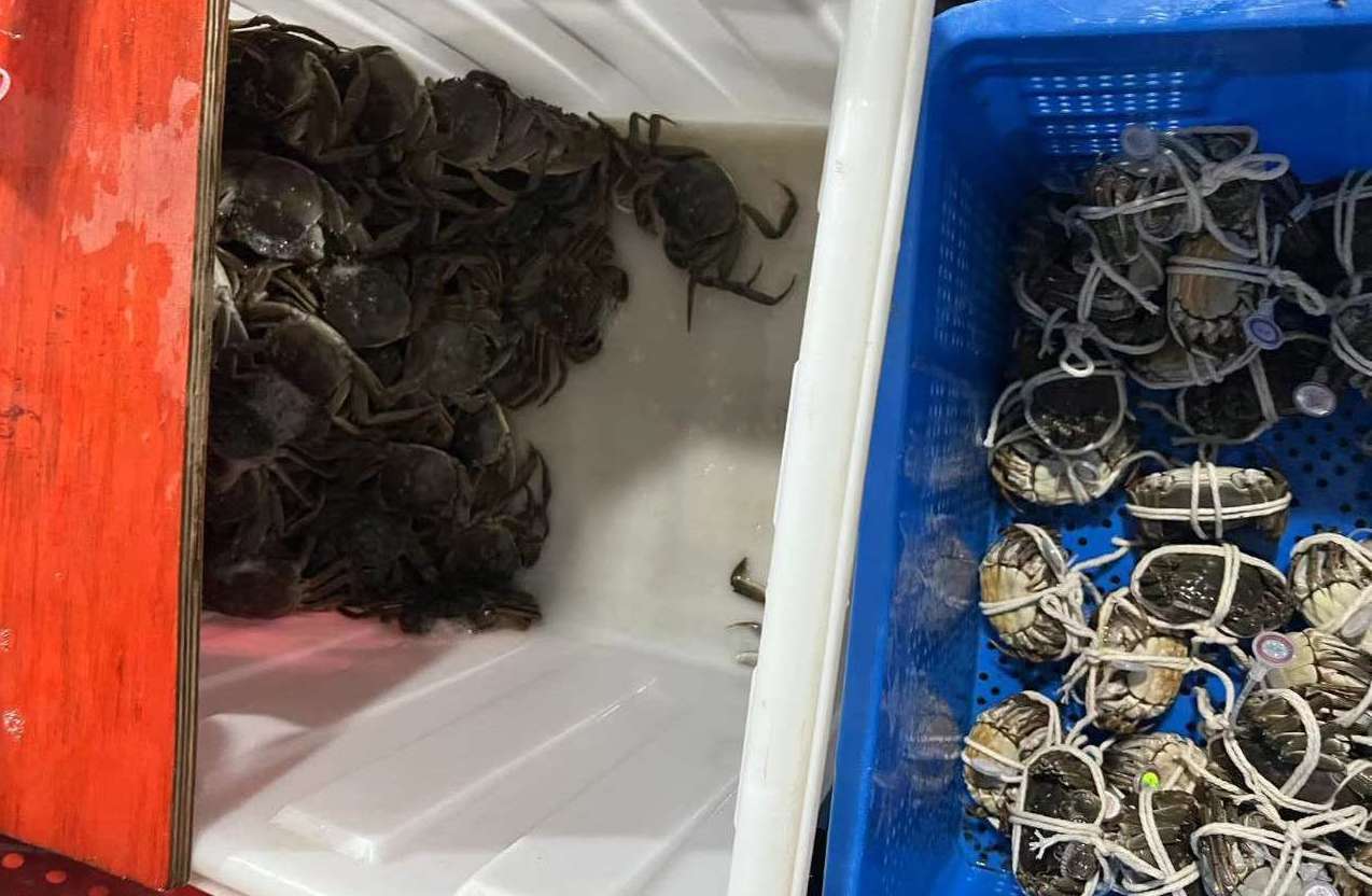 吃着大闸蟹看世界杯，吉隆坡有口福了 菜鸟开通大闸蟹运输专机
